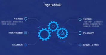 博科資訊啟動上市輔導,高瓴為投資方 旗下yigo erp可實現進口替代