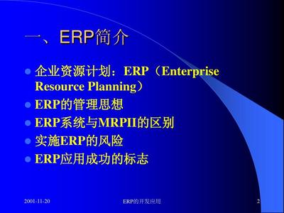 ERP的開發與應用PPT