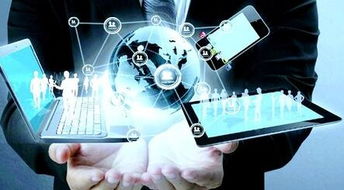 b2b2c商城系統開發