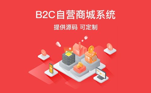 開發b2b電商系統需要注意什么