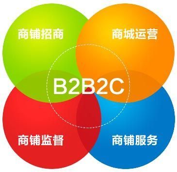 B2B2C購物商城系統要怎樣才能盈利?