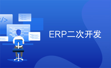 ERP二次開發