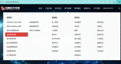 項目管理系統(tǒng) 低代碼開發(fā)臺私有化部署