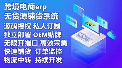 跨境電商無貨源ERP系統產品上傳批量采集翻譯一鍵鋪貨